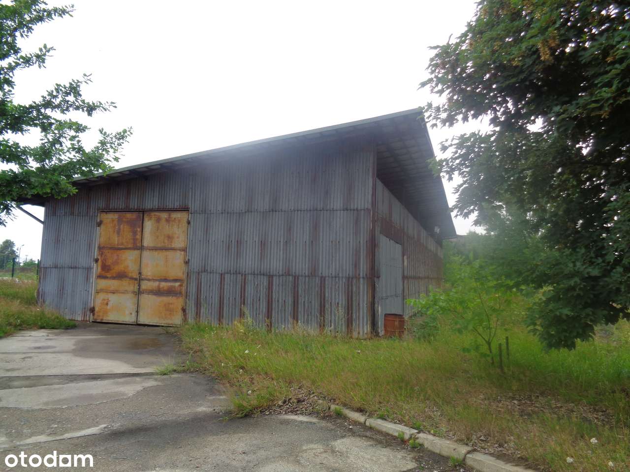 Nieruchomość - zakład produkcyjny w Woli Krzysztoporskiej - Pełny obrazek: 5/5