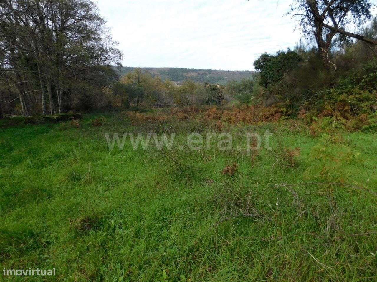 Quinta / Fundão, Vale Prazeres - Grande imagem: 2/10