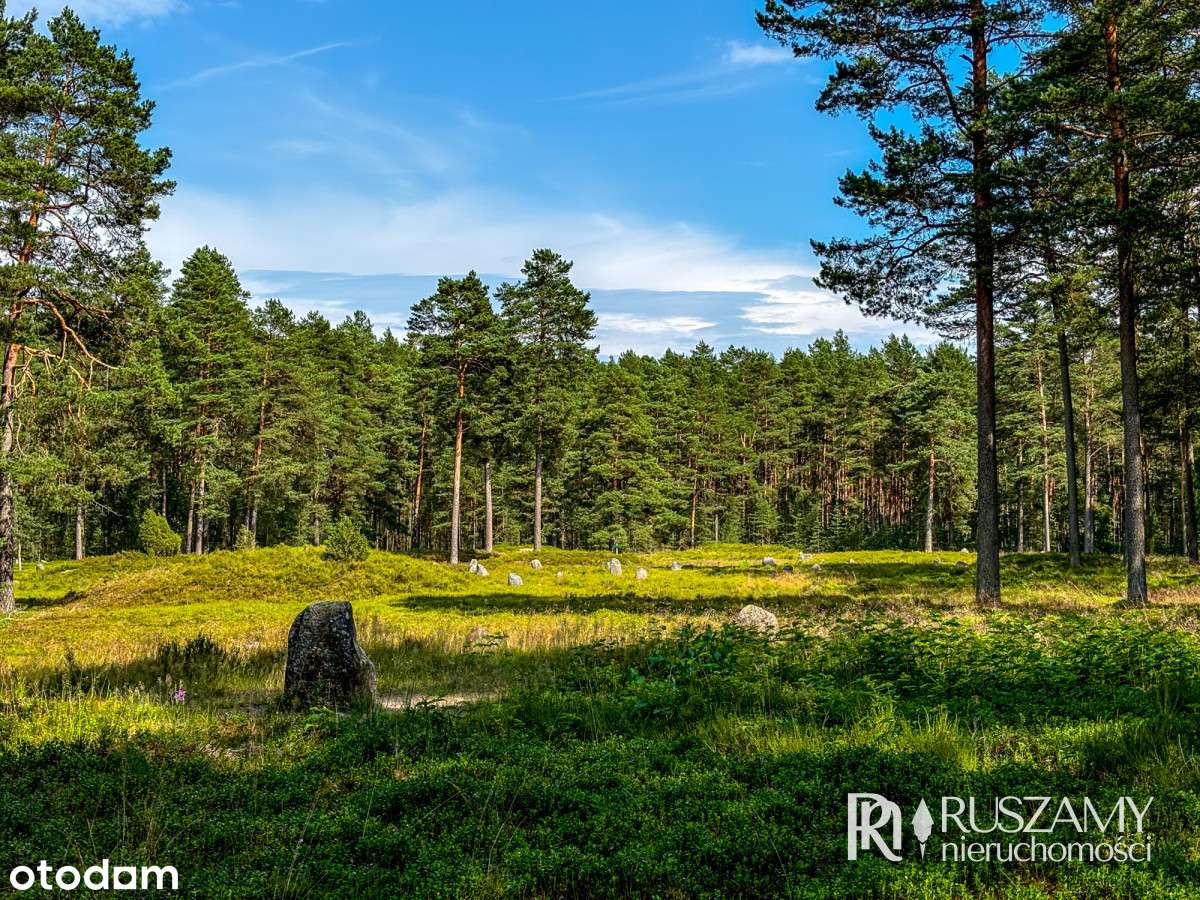 Bory Tucholskie - działki objęte Mpzp-16