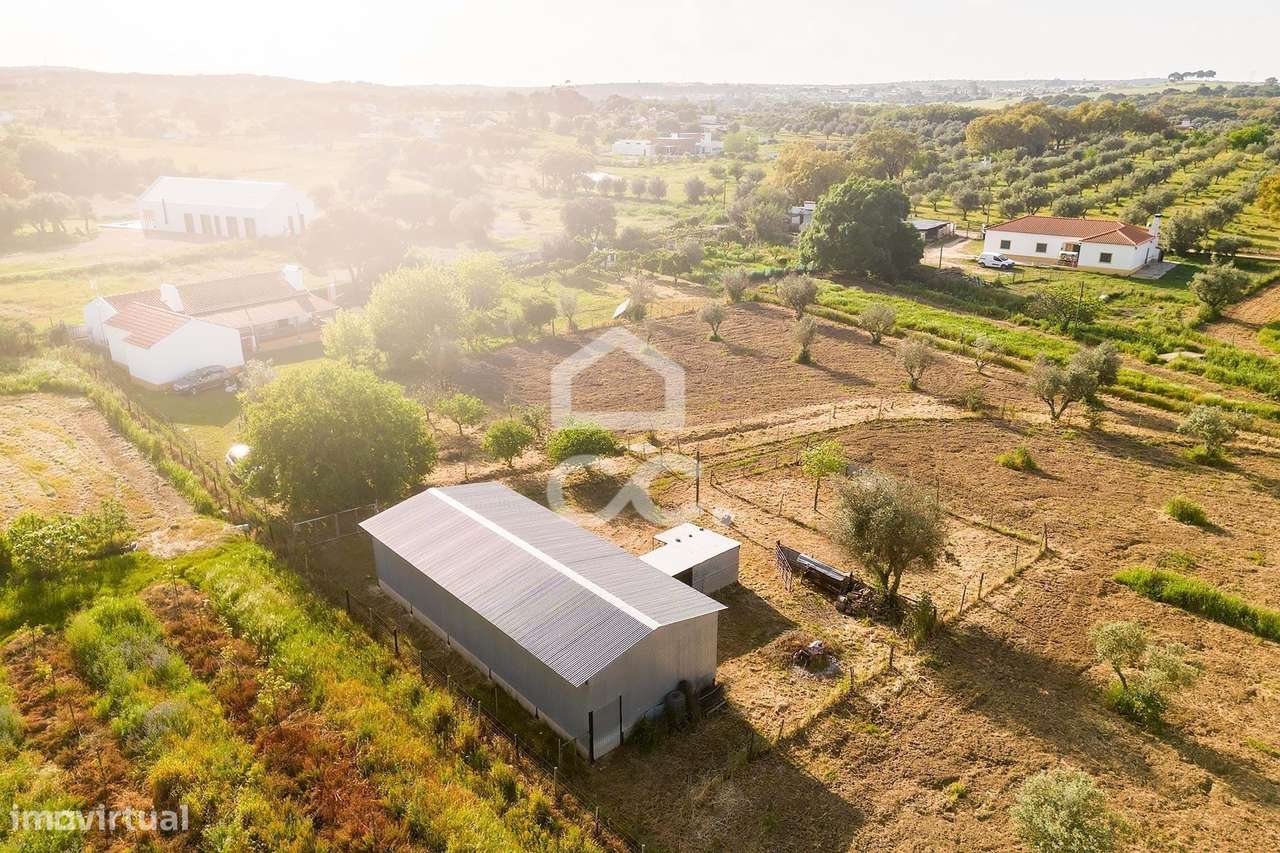 Quinta de 9250m2 c/ Moradia T4 térrea, anexo e armazém | Azaruja-28