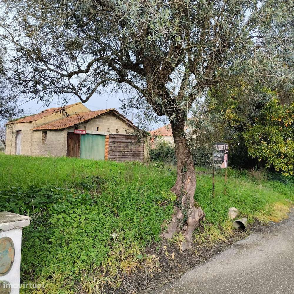 Terreno em Pouca pena - Soure - Grande imagem: 1/14