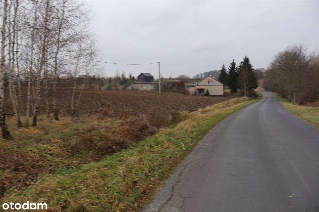 Działka w pobliżu jeziora - Łapinóżek-14