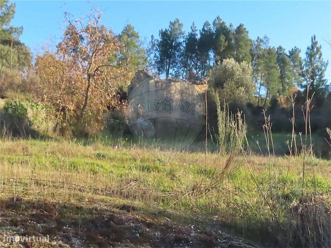 Quinta  para venda - Grande imagem: 3/25