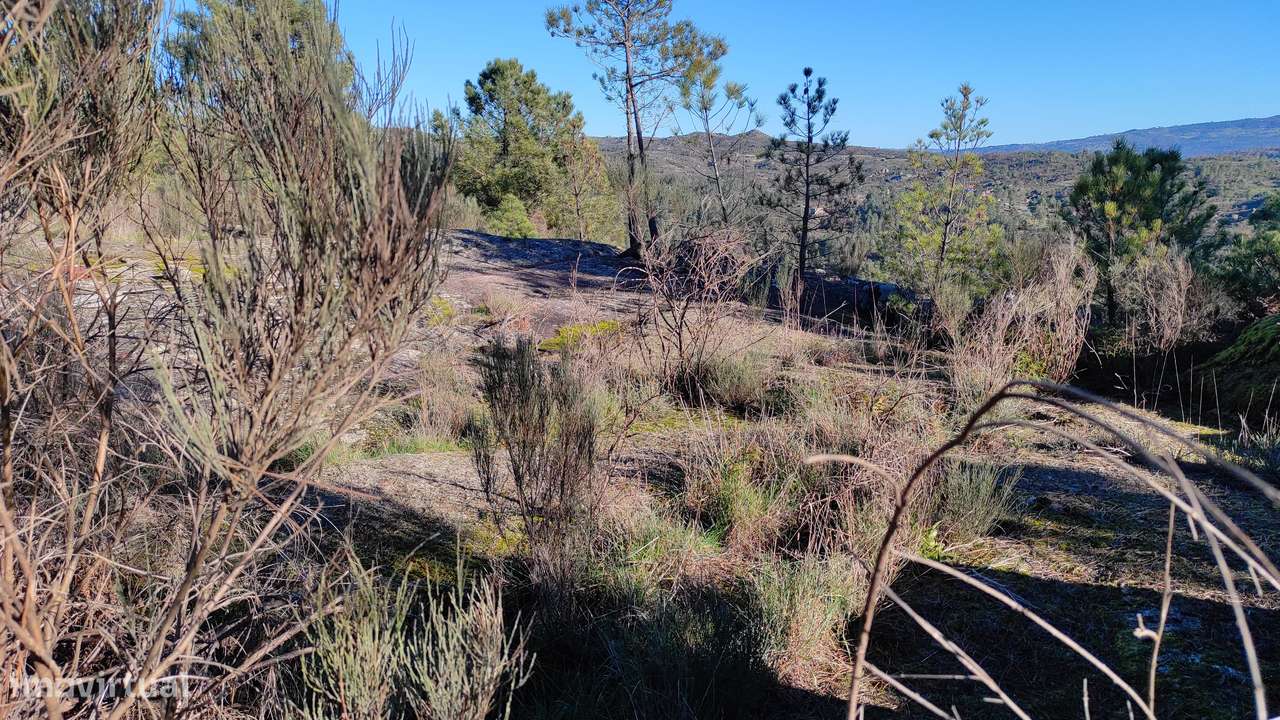 Quinta com vista deslumbrante para a Serra da Estrela 17500€ - Grande imagem: 5/22
