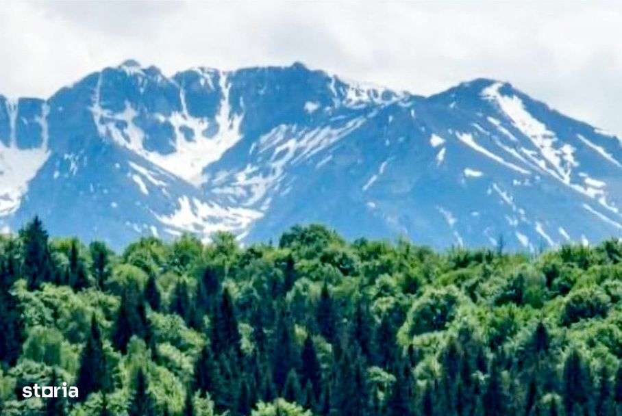 Teren superb Poian Brasov cu front la trei drumuri - Imagine principală: 5/6
