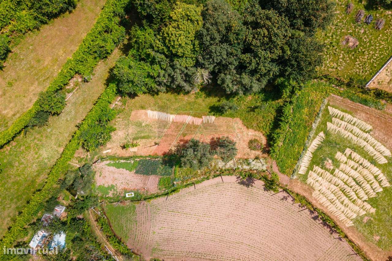 DUAS MORADIAS E ANEXO EM REVELHE - FAFE!-22