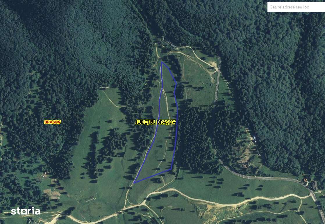 Vand 100.000 mp teren intravilan Poiana Mica - dezvoltari imobiliare-4