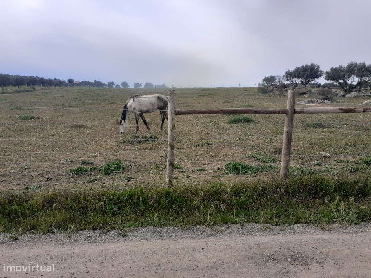 Terreno em São Miguel de Machede - Évora - Grande imagem: 5/6