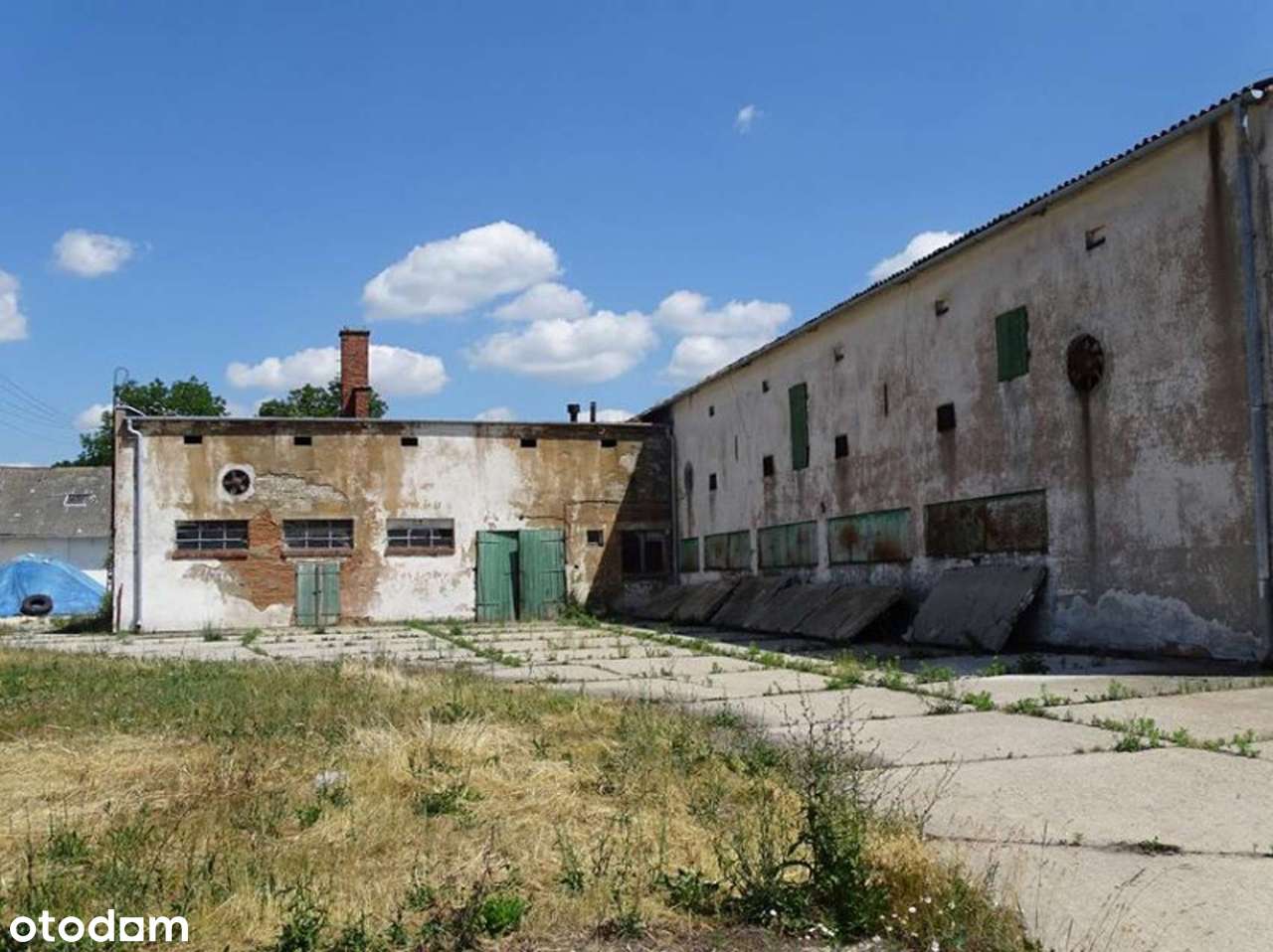 Nieruchomość komercyjna na sprzedaż-14