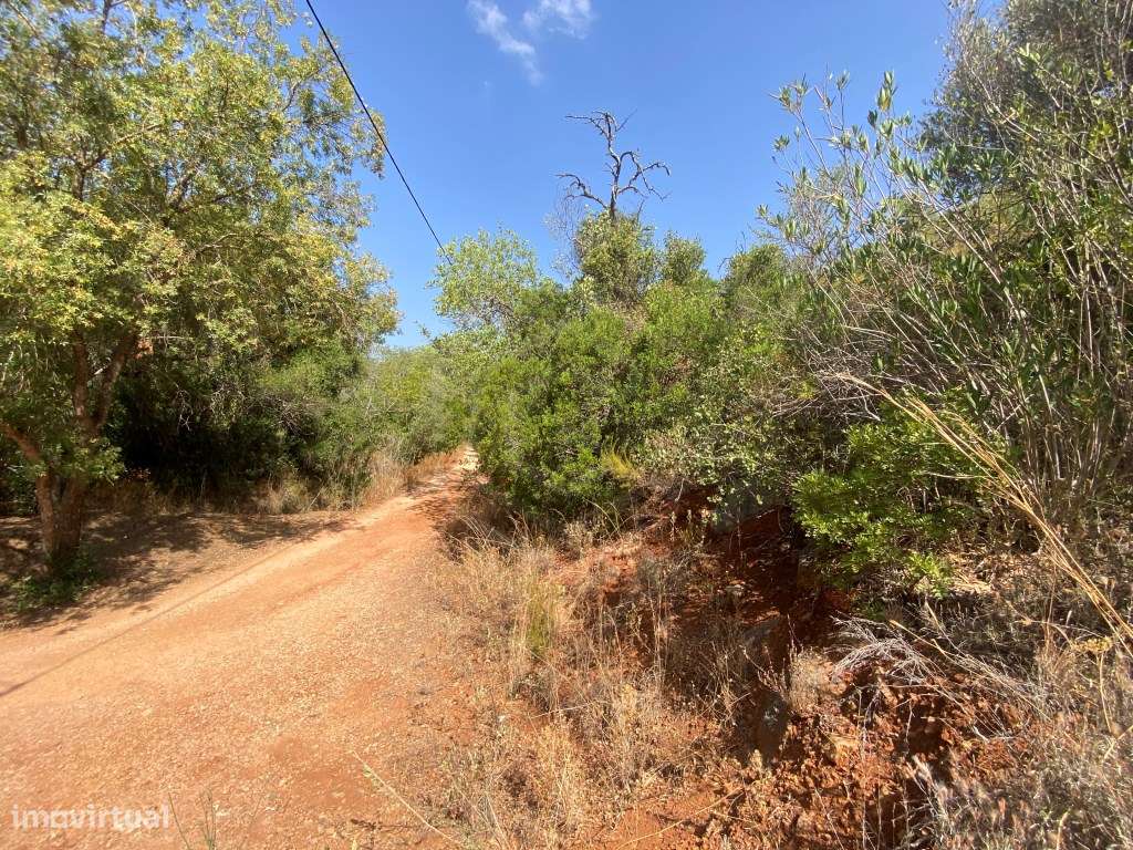 Lote de terreno rústico na Fonte da Benémola, Loulé, Algarve - Grande imagem: 4/17
