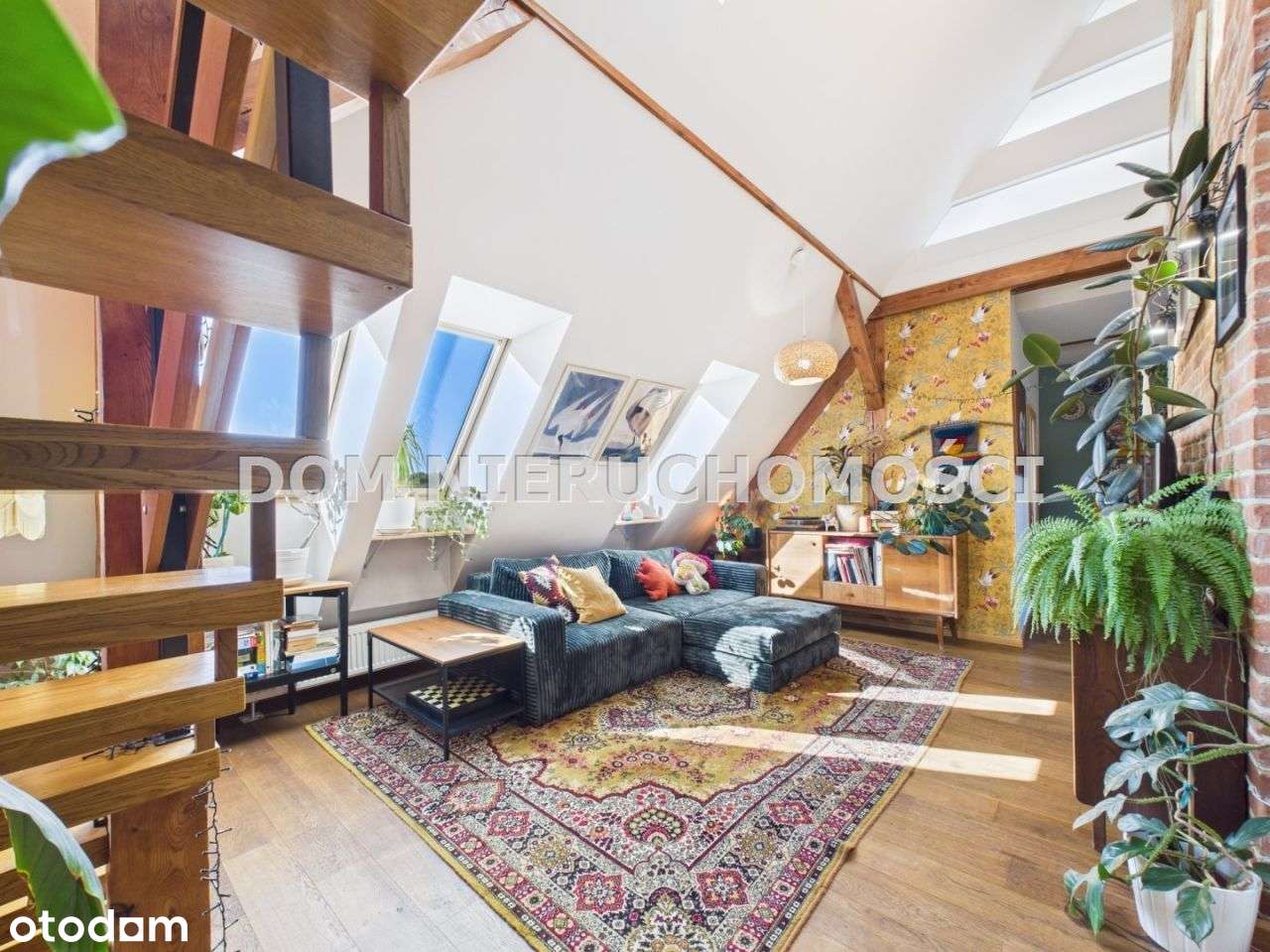 Apartament w centrum Olsztyna - Pełny obrazek: 5/20