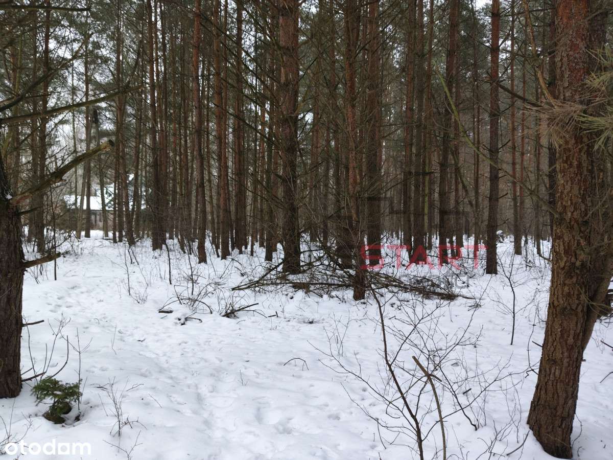 Działka rekreacyjna na mały domek-4