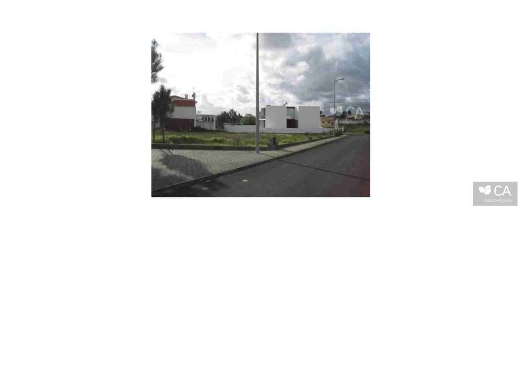 ID14515 - Grande imagem: 3/4