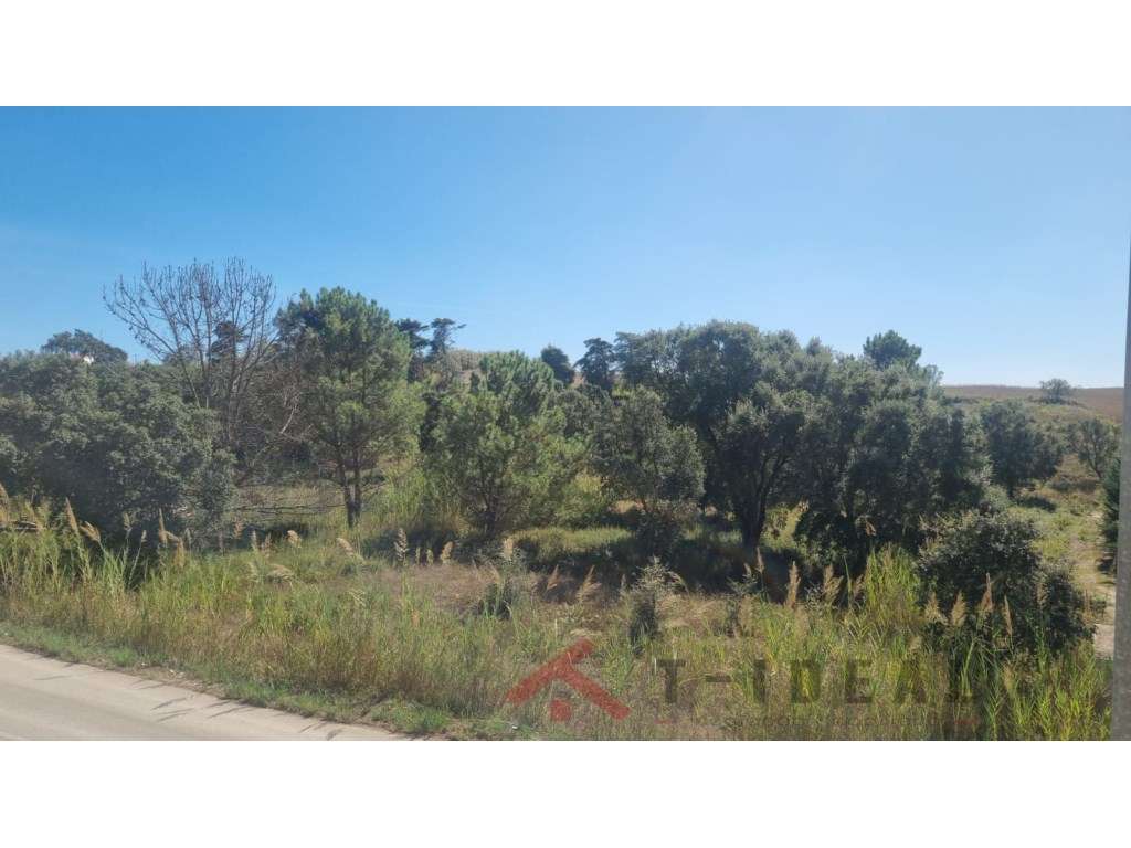Moradias T4 contemporâneas a 5 minutos de Torres Vedras-12