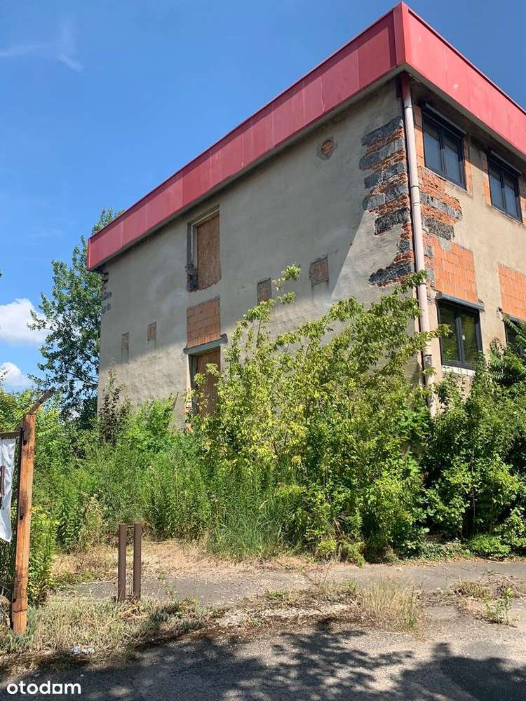 Hotel pracowniczy Ozimek Strefa Przemysłowa 1000m2 - Pełny obrazek: 4/10