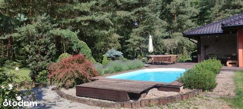 Dom wolnostojący - Brzezinki - Pełny obrazek: 4/14