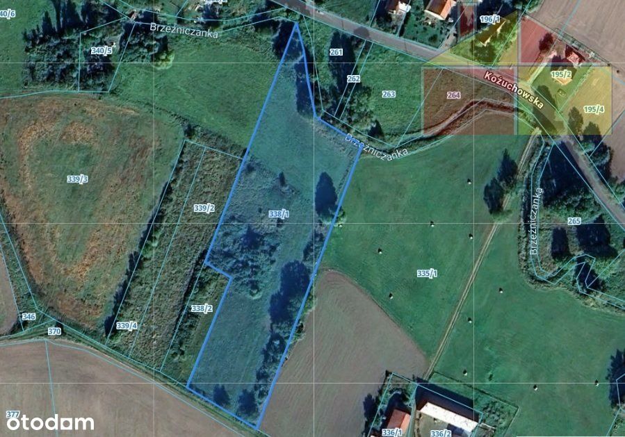 Działka, 10 700 m², Chotków