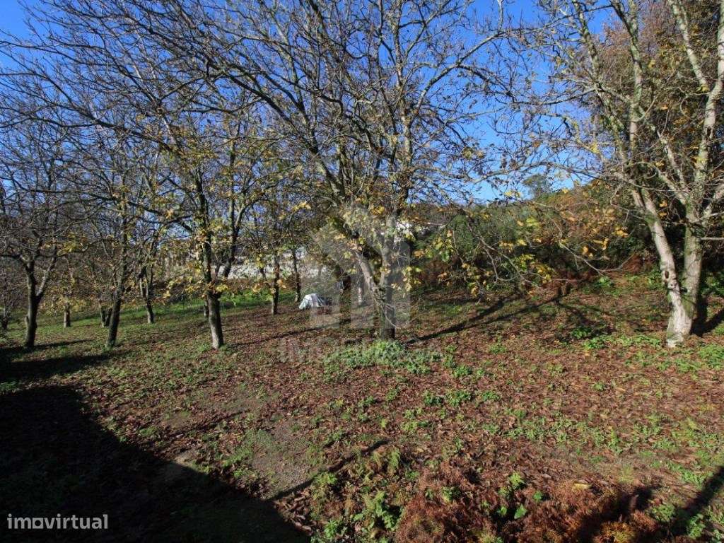 Venda de Terreno para Lotear, em Gualtar, Braga-3