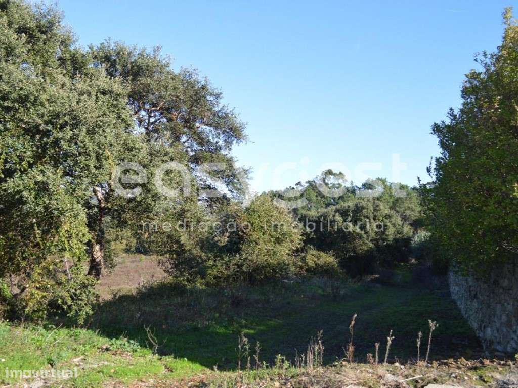 Terreno Rústico c/ 17.500m2 no Pobral - Grande imagem: 3/7