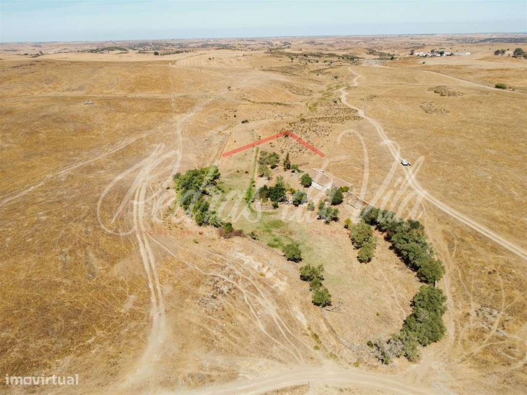 Propriédade de 119ha com varias ruinas - Castro Verde-7
