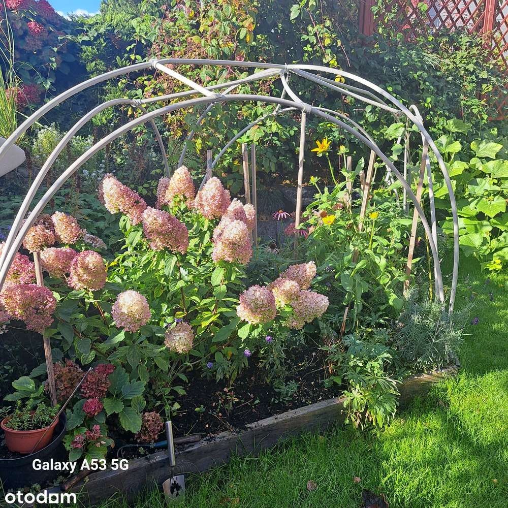 Dom szereg skrajny Gdynia Mały Kack-13