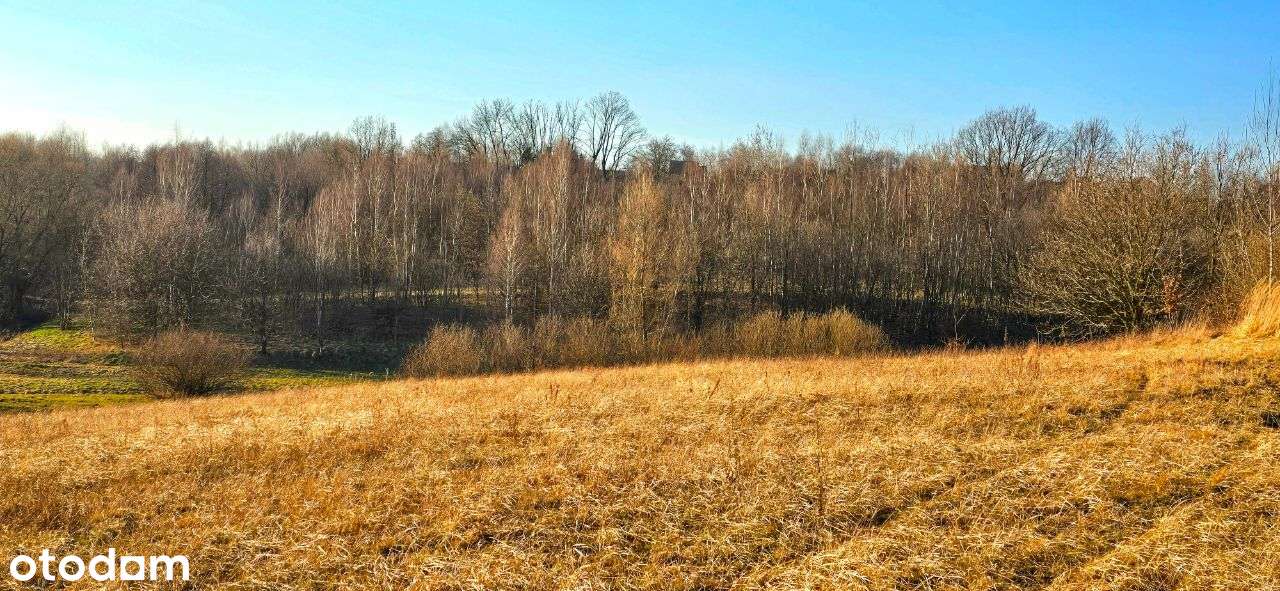 Działka widokowa w Przytkowicach-4