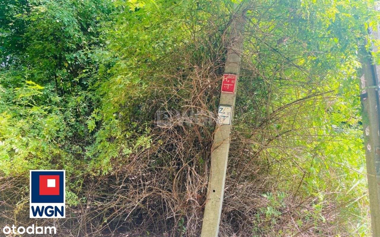 Klimatyczna działka przy lesie Kazimierz Górniczy-16