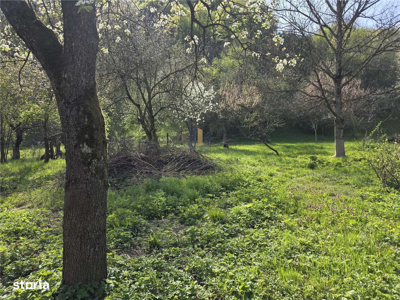 Casa cu teren generos in zona turistica Nadrag Timis-12