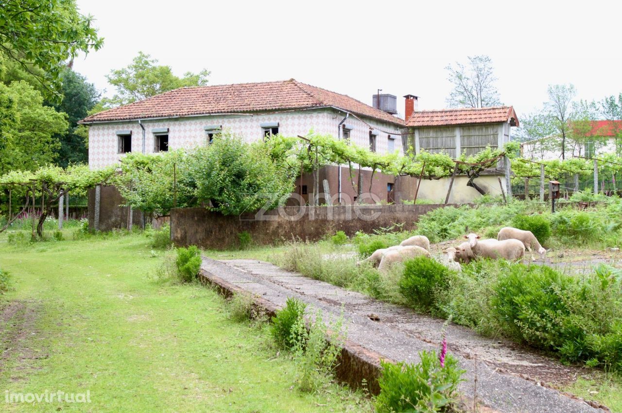 Quinta com Castanheiros