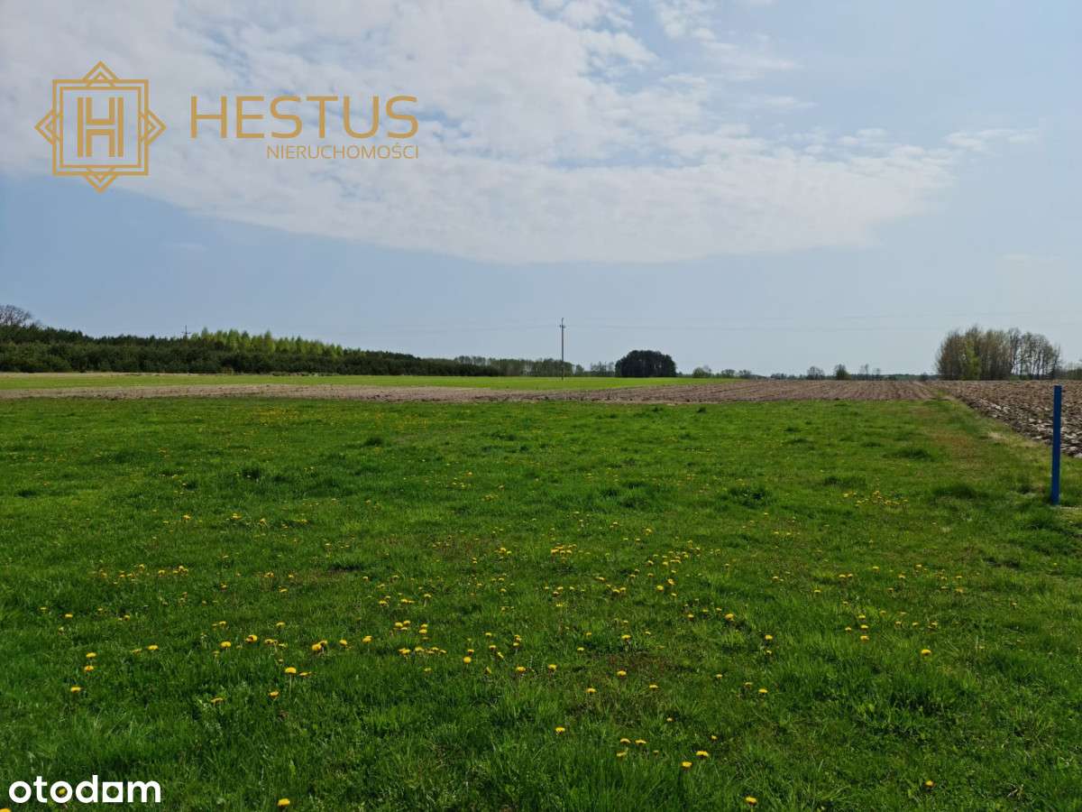 Działka na Pojezierzu Łęczyńsko-Włodawskim - Pełny obrazek: 5/8