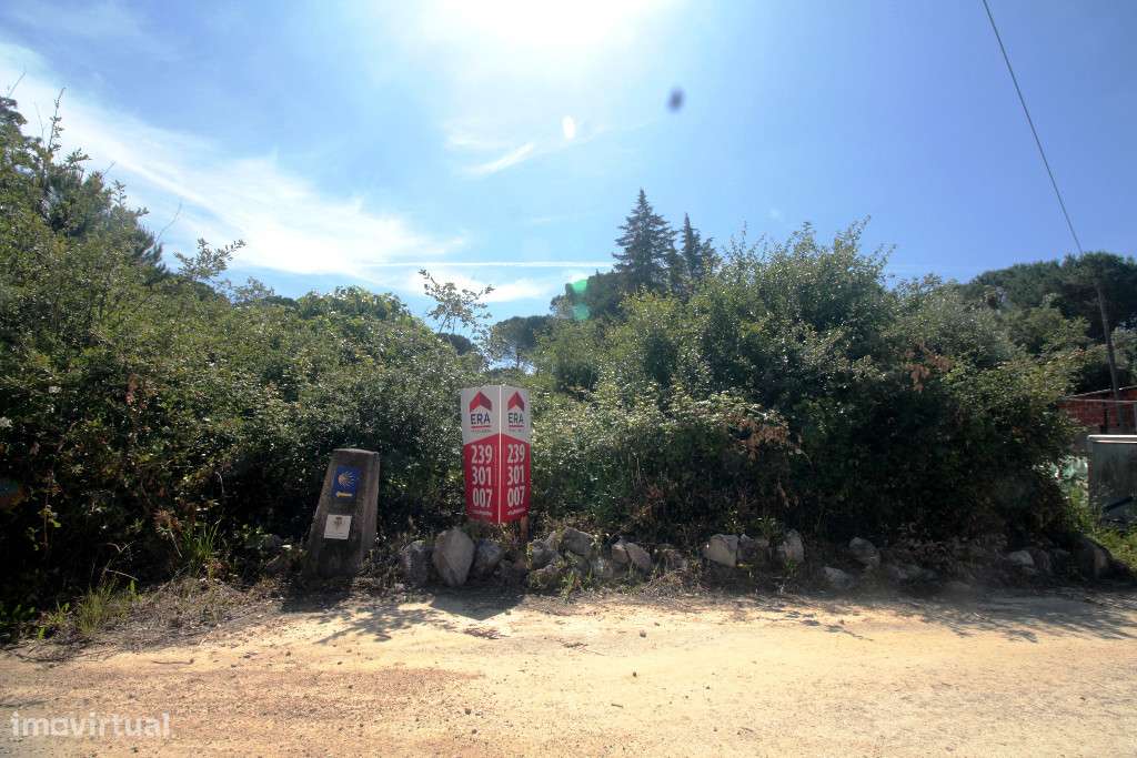 Excelente Terreno para Construção em Pousada, Cernache | Coimbra | Por - Grande imagem: 4/14