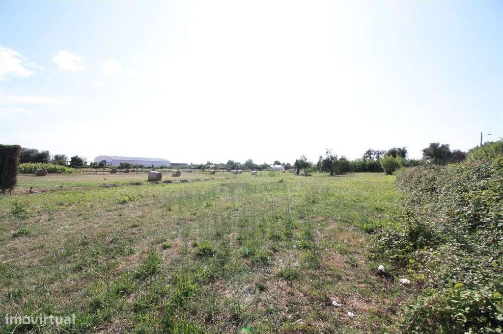 Terreno, Montemor-o-Velho, Montemor-o-Velho - Grande imagem: 5/6