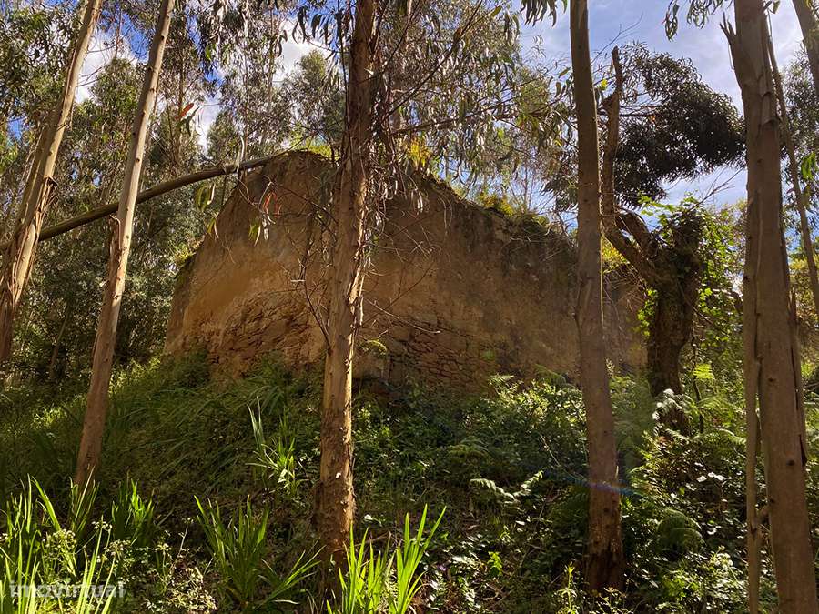 Grande terreno com habitação em ruína, 5 min. de C. da Rainha e Óbidos-5