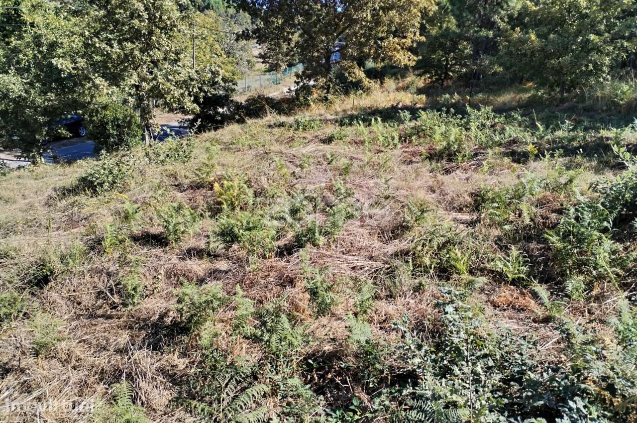 Terreno para costrução - Grande imagem: 3/8