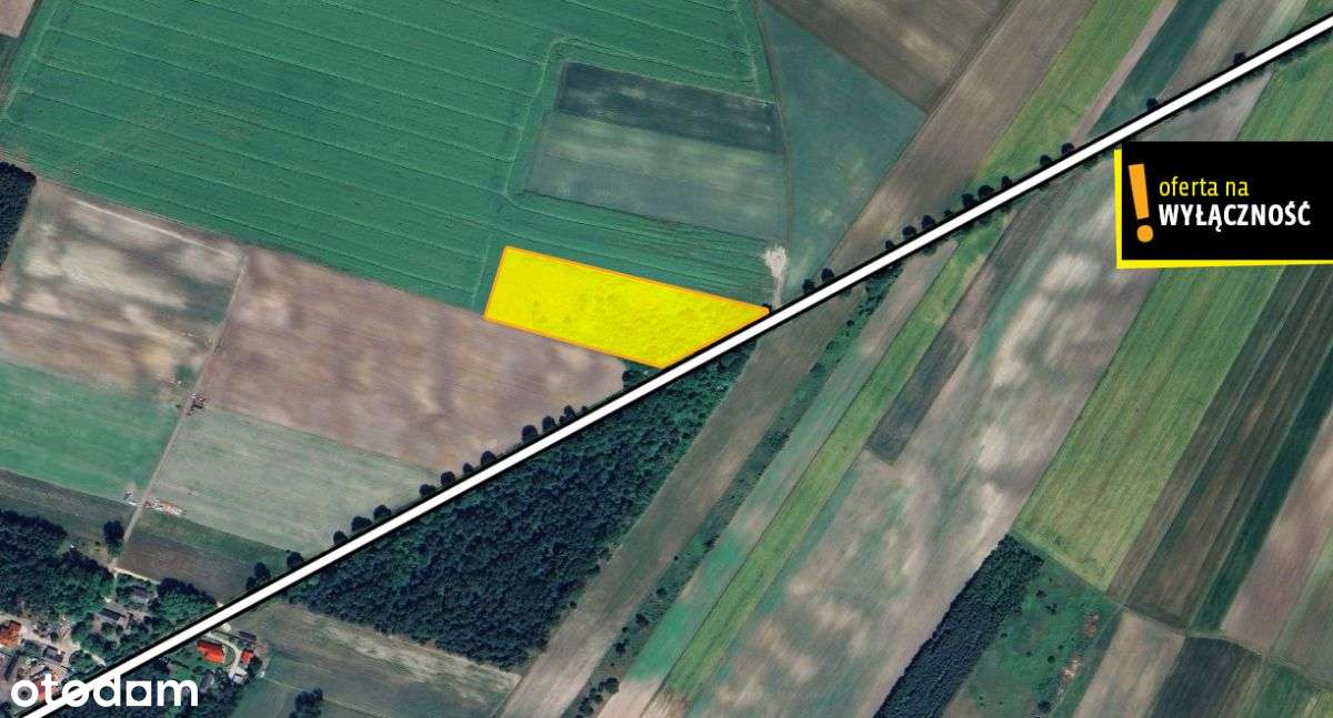 Działka rolna Wierzbie - 11000 mkw.-2