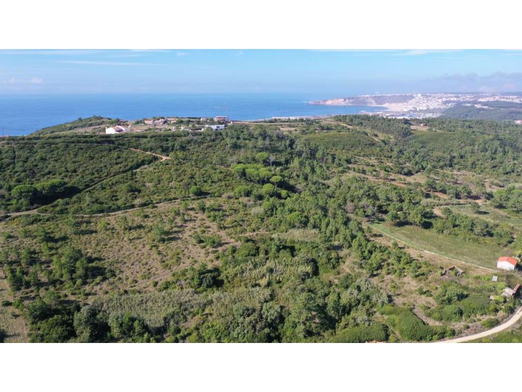 Terreno Misto na Serra da Pescaria - Grande imagem: 2/8