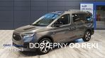 Ford Tourneo Connect - 1