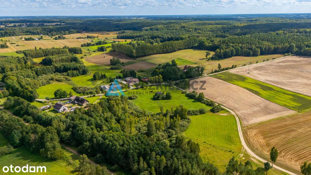 Piękna działka siedliskowa Głodowo - Pełny obrazek: 5/20