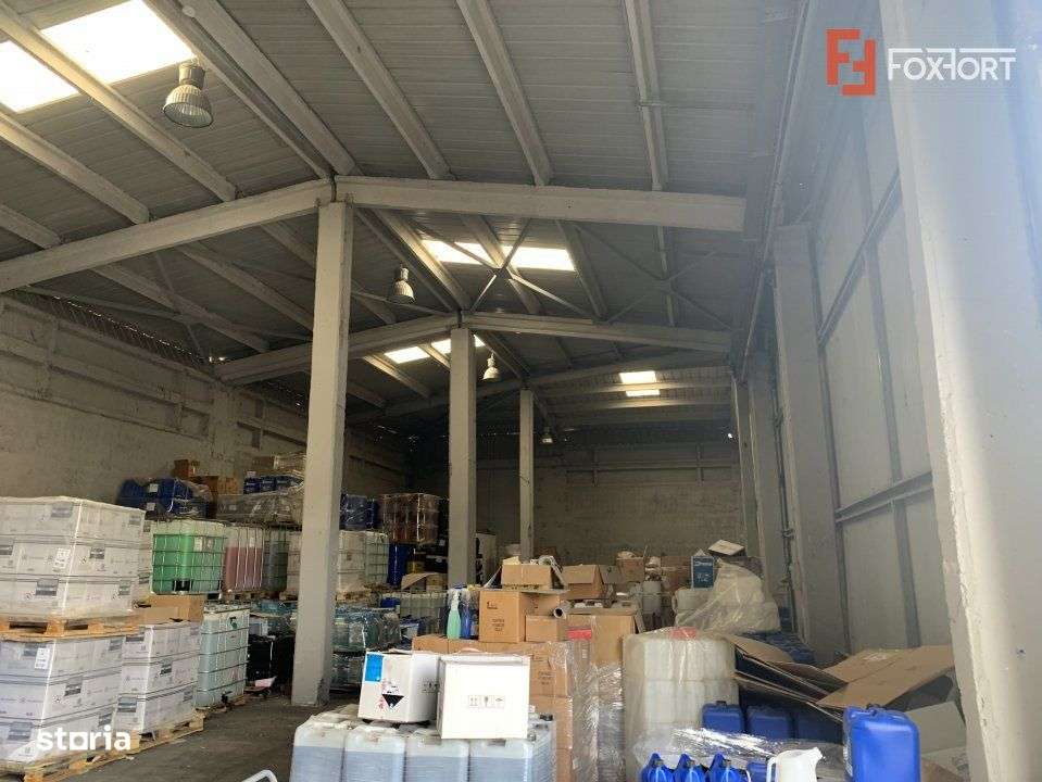 Hala industriala 1260 mp  langa autostrada si centura Timisoara - C465 - Imagine principală: 3/3