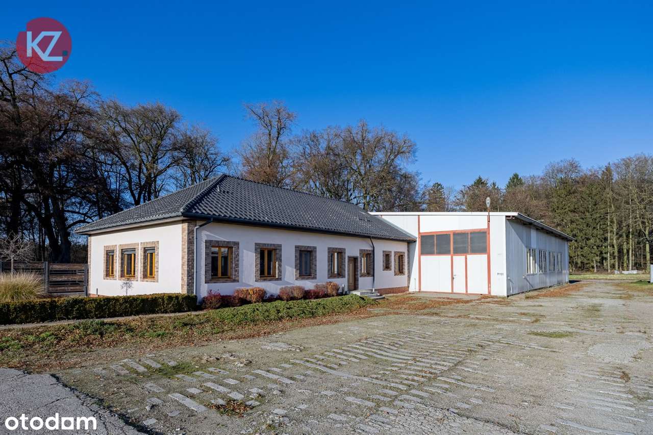 Obiekt na sprzedaż, Margonin (gw)-9