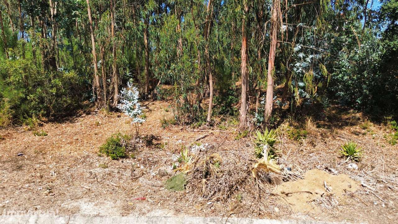 Terreno para construção em Pombal - Grande imagem: 5/21