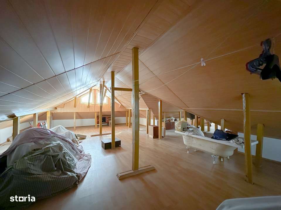 Vila Multifunctionala in Militari - Locuinta si afacere intr-un singur-18