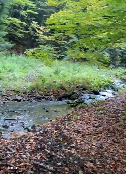 Teren intravilan / utilitati / vedere spre lac ,29 de ari - Imagine principală: 3/3