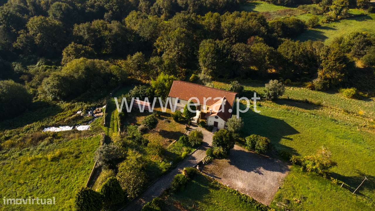 Quinta T4+3 com 14.000m2, Mentrestido VNC - Grande imagem: 2/20