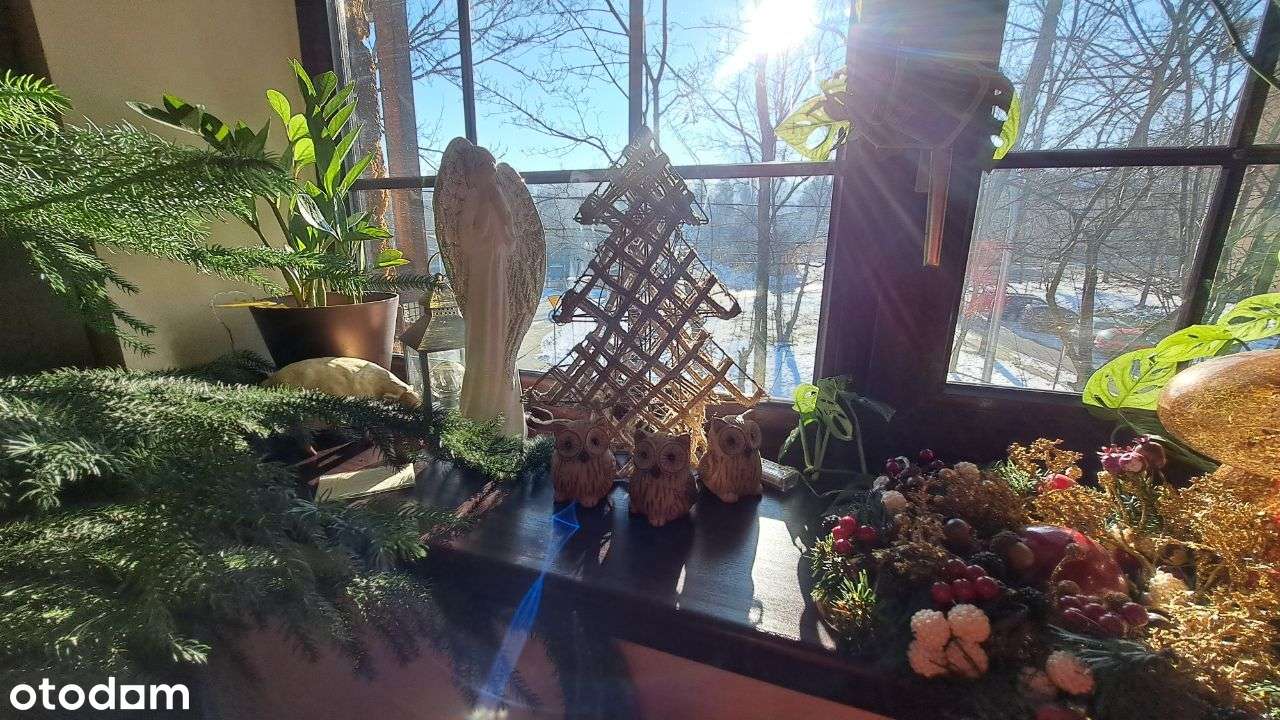 Nowa cena. Budynek mieszkalno warsztatowy-5