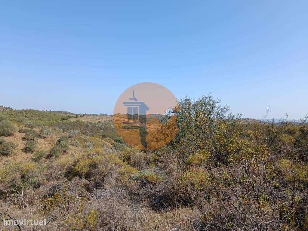 TERRENO RUSTICO COM 7.240 M2 - PRÓXIMO A ALDEIA DOS BALURCOS EM ALC... - Grande imagem: 5/22