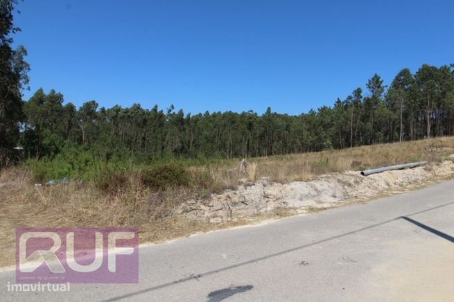 Lote de Terreno com projeto para moradia V4 em Souto da Carpalhosa ...-9