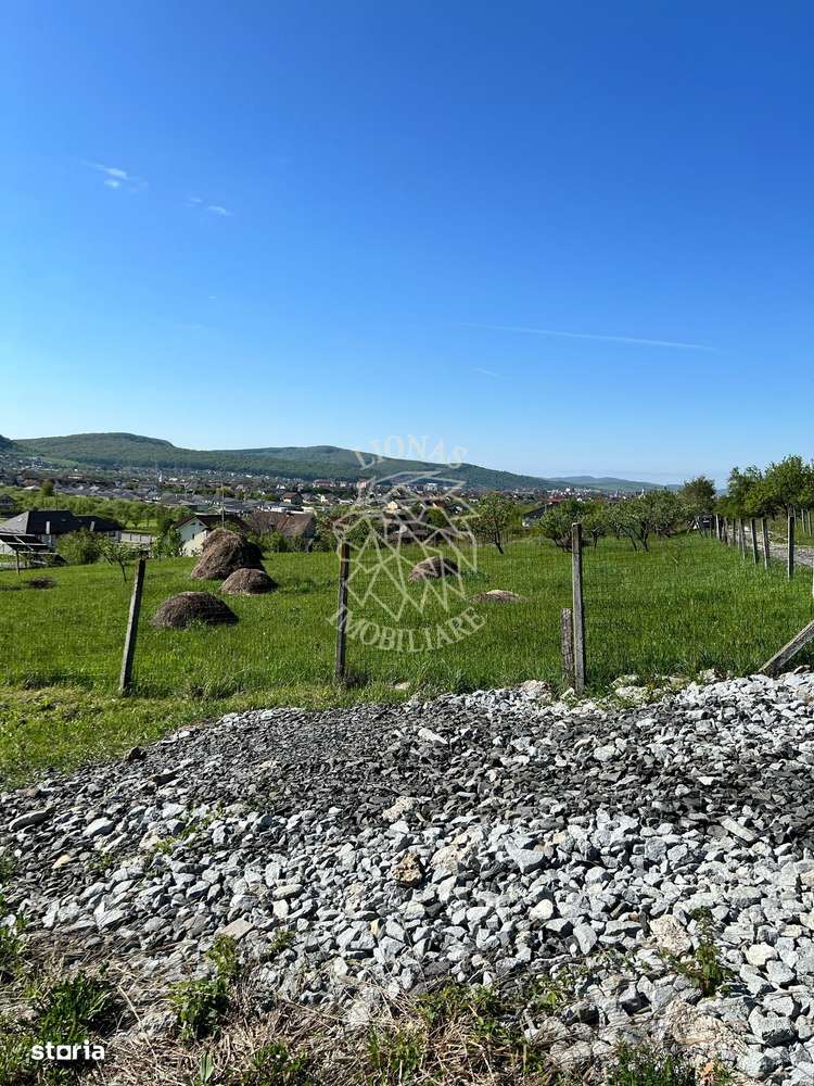 Teren intravilan 1800mp-utilitati-parcelabil-ideal casa-Viile cu Pomi - Imagine principală: 4/6