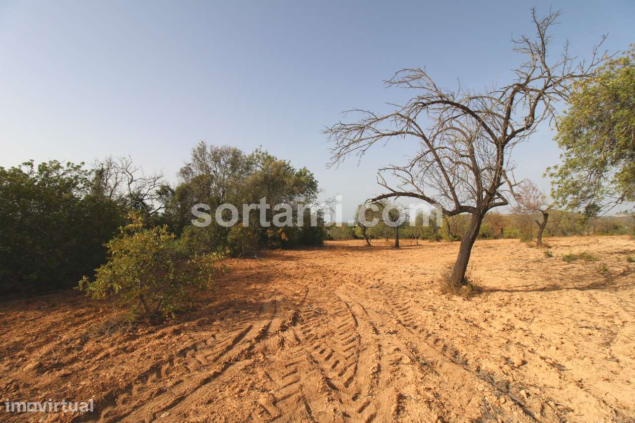 Terreno Rústico  Venda em Loulé (São Sebastião),Loulé - Grande imagem: 4/9