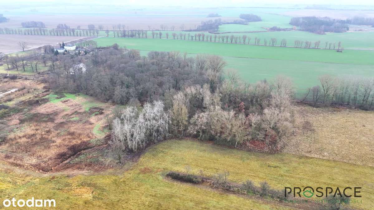 Działka rolna 9,5ha z potencjałem - Pełny obrazek: 5/8